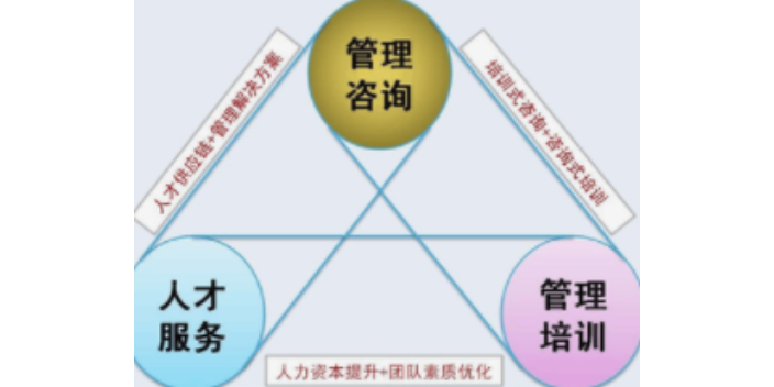 企業管理與企業管理咨詢 賦能組織的協同關系探究